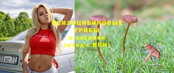 спиды Белокуриха