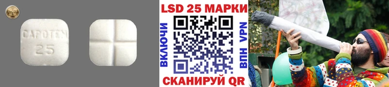 Купить закладки  Терек  Лсд 25 экстази ecstasy 