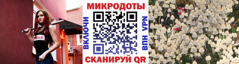 Галлюциногенные грибы мицелий  Купить закладки  Терек 